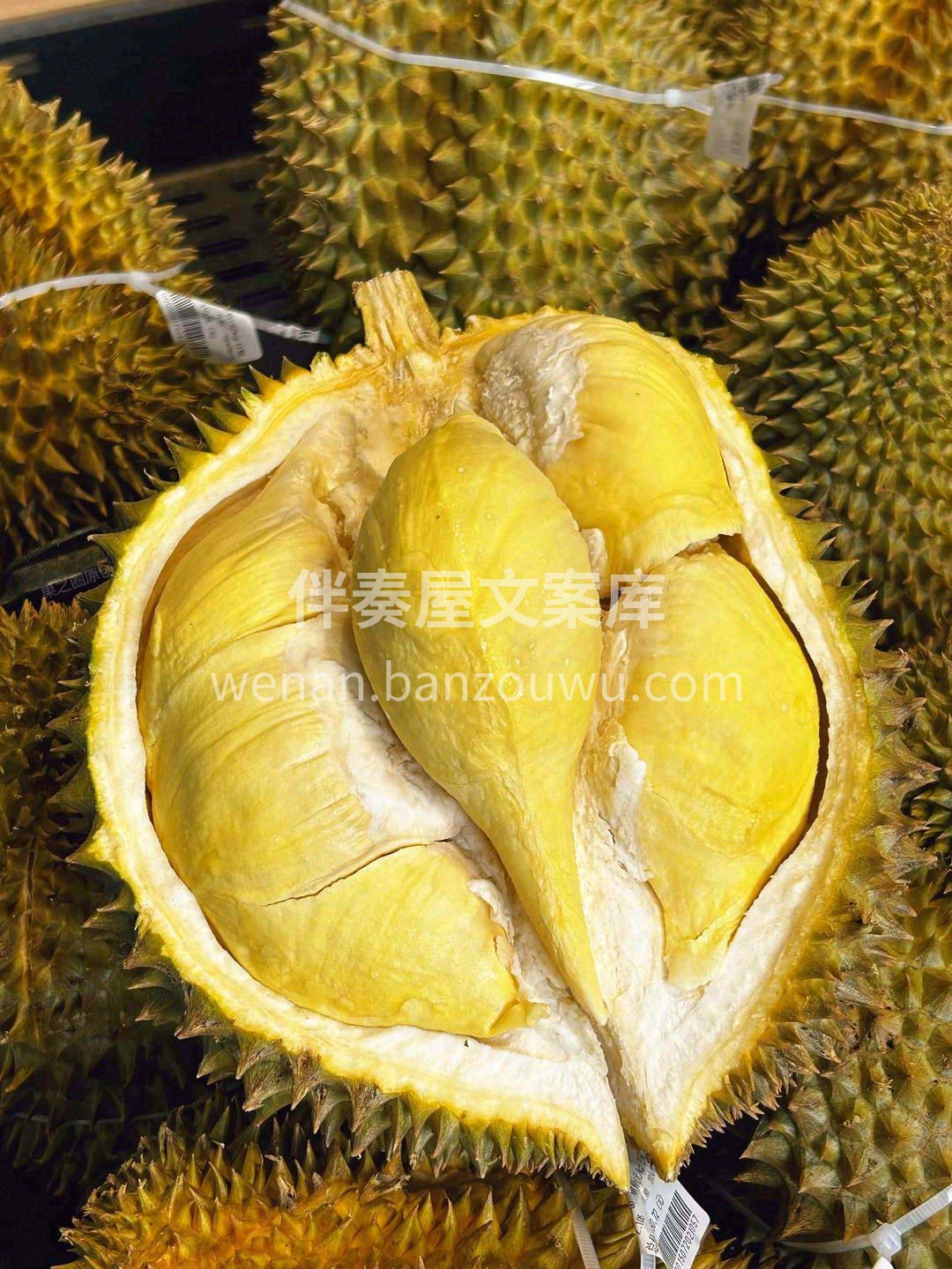 每天最幸福的事情就是开榴莲🐣！ 看见大家 配图1