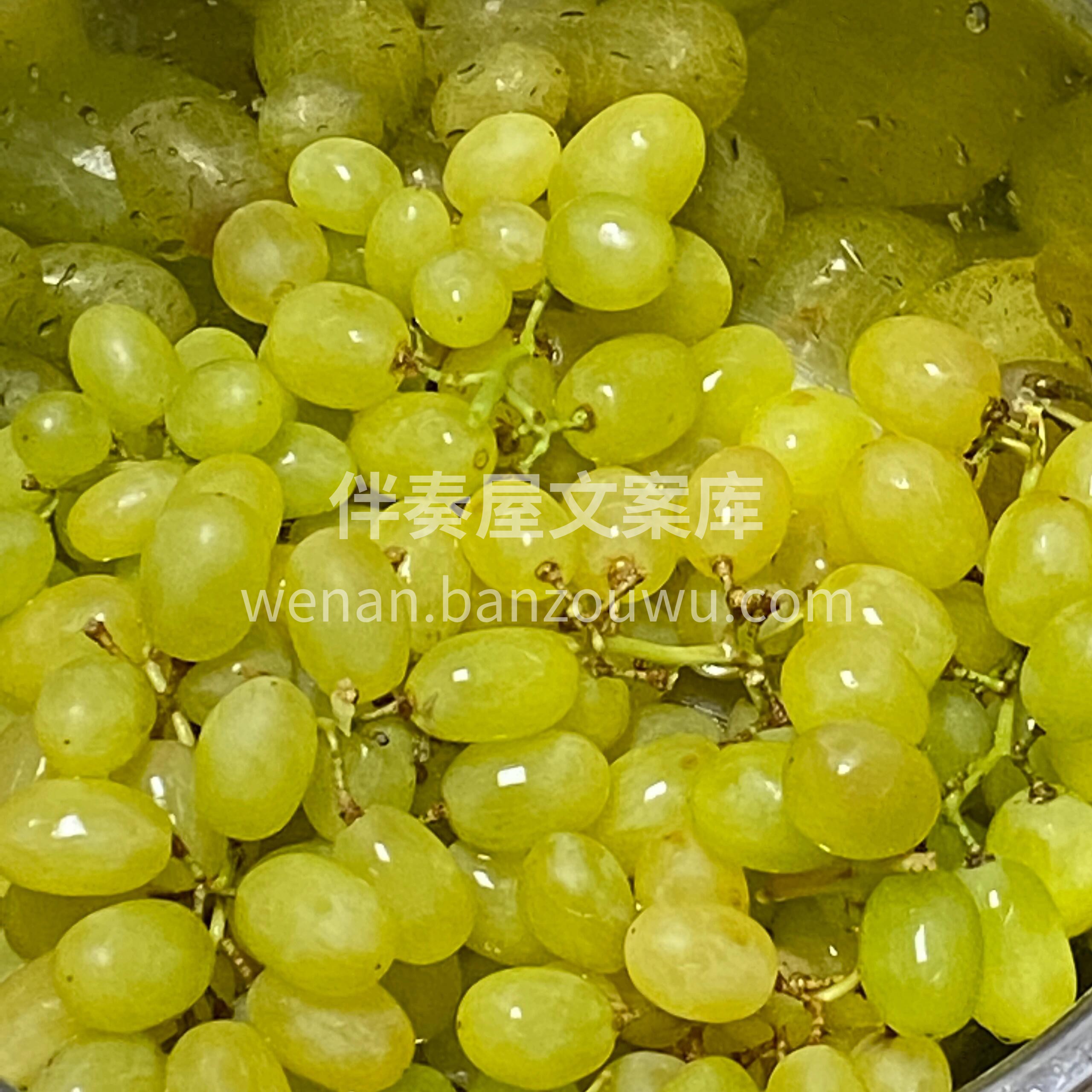 新疆🟩马奶提🍃 真不愧是新疆吐鲁番的马奶 配图1