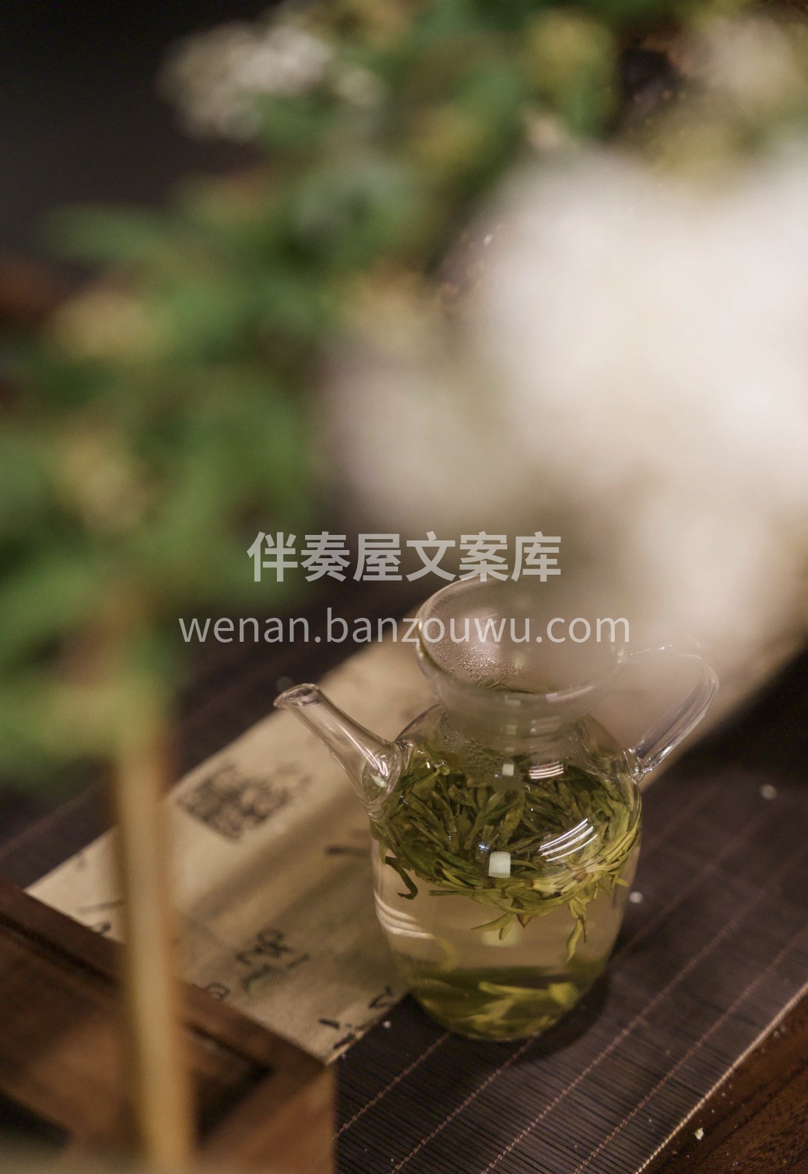 明前龙井，翠芽凝香。🍵 🎁一杯春茶敬知己 配图3