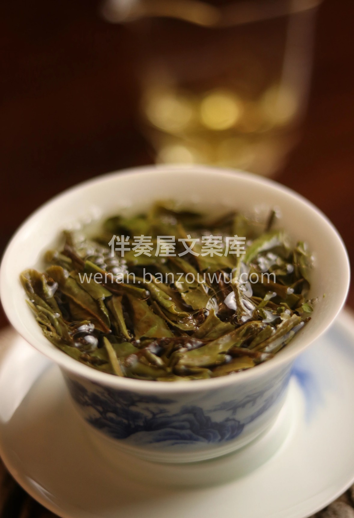 寿眉·岁月沉淀的甘醇 白茶寿眉，芽叶抱枝 配图2