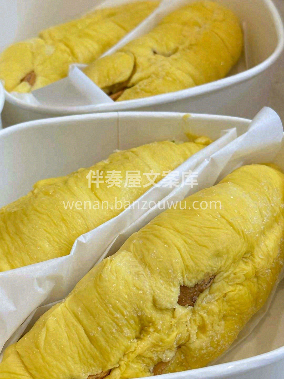 一入猫门深似海🌝，从此金枕是路人🔥 这颗 配图3