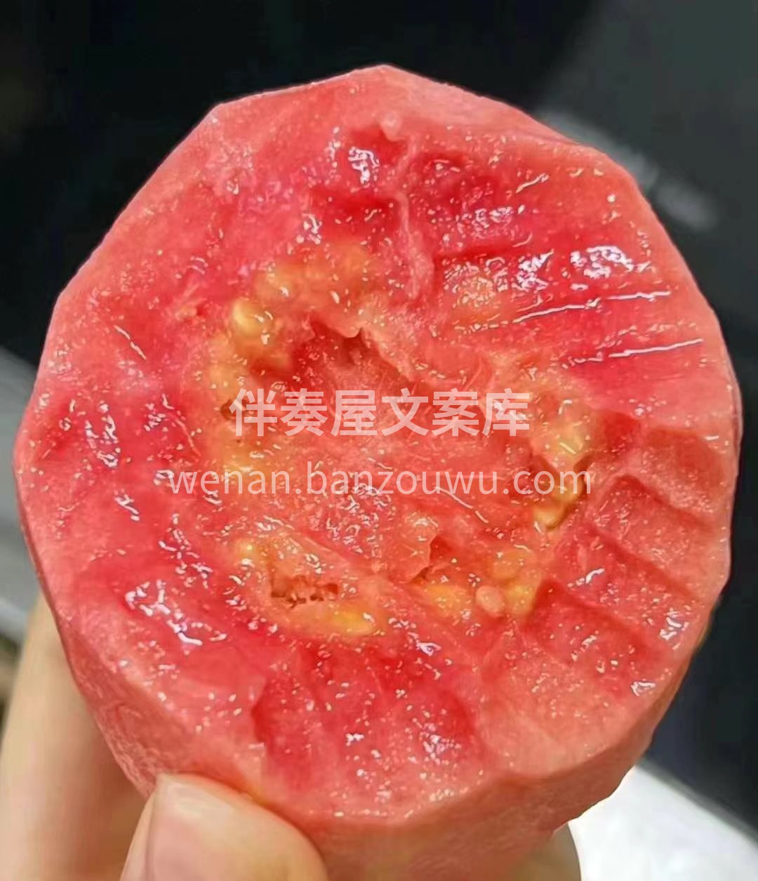 🌈草莓红芯芭乐 那真叫一个满屋飘香呀❣️ 配图2