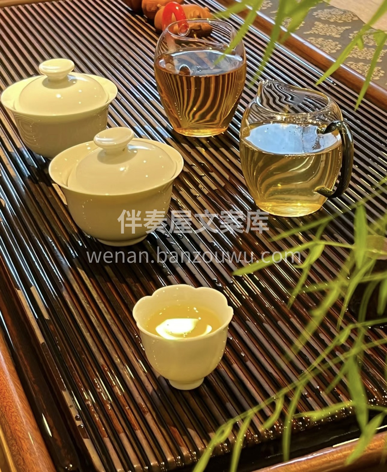 茶人，未必就是精于茶道之人，也未必是采茶 配图1