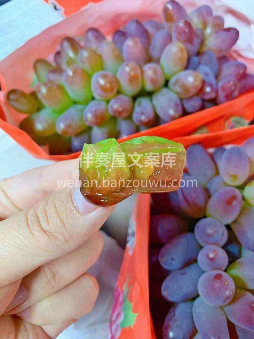 🍇小小的葡萄，大大的营养👍 好葡萄，多汁 配图3