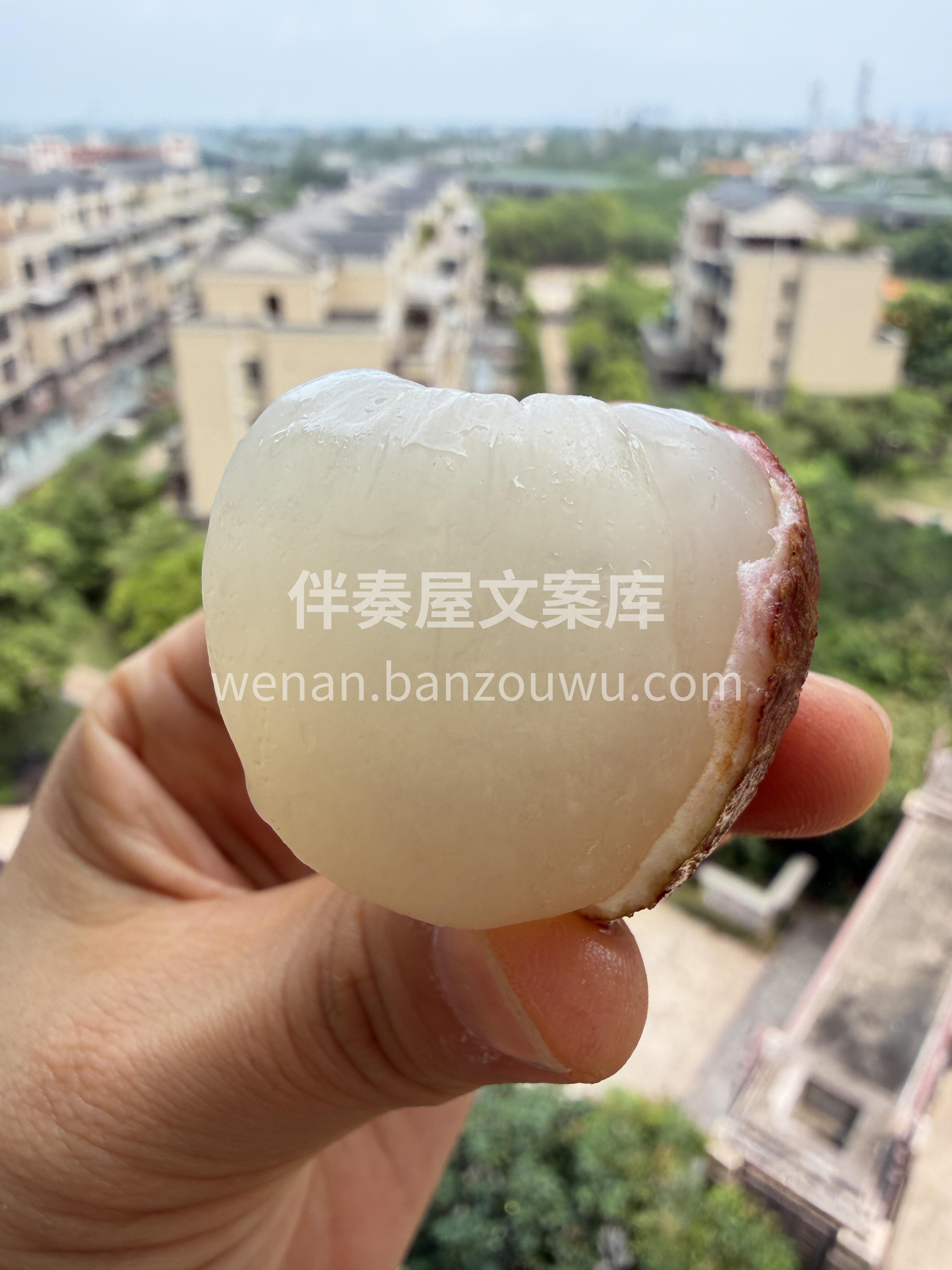 🍒荔枝开始有了‼️ 这一波是早熟的先头部 配图2
