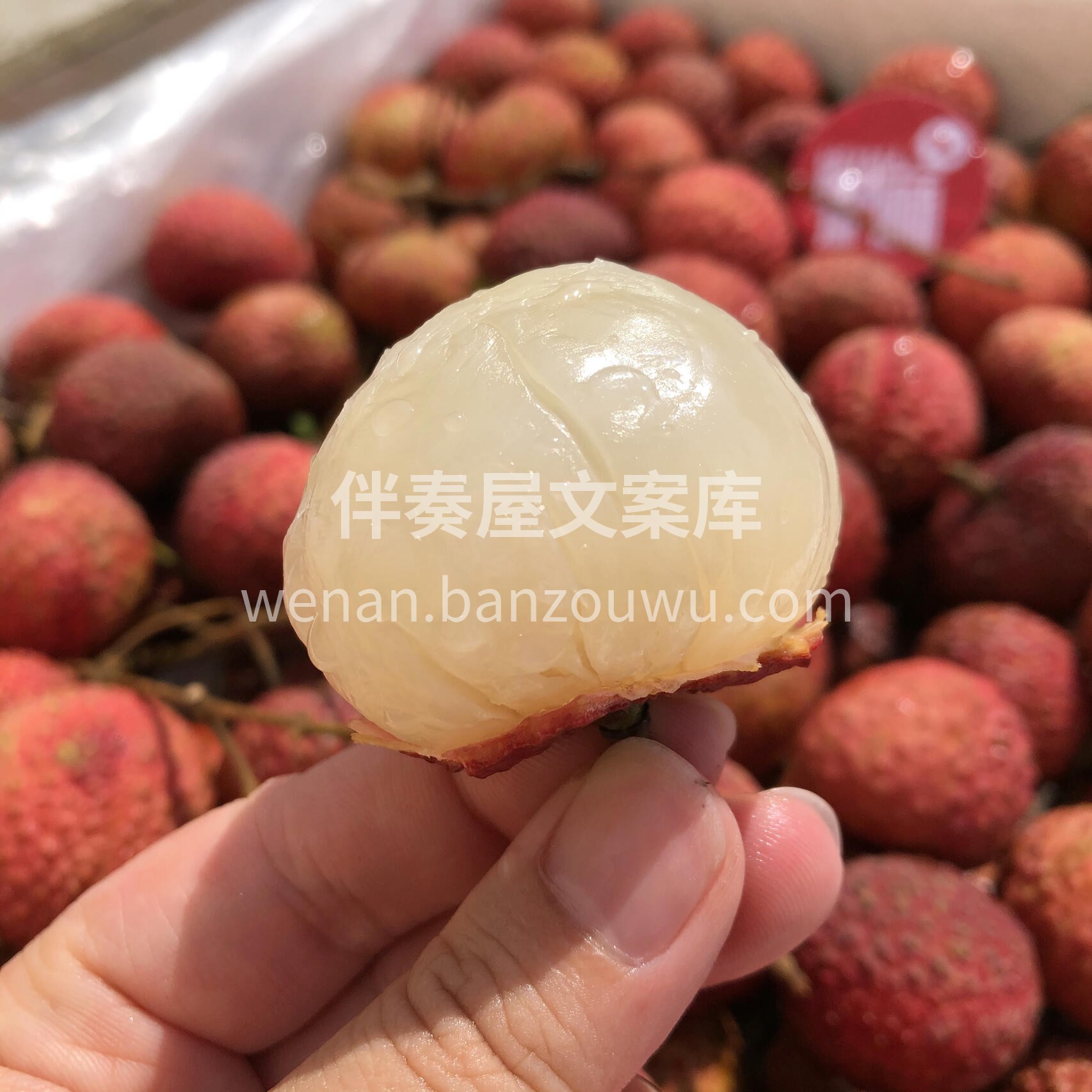 🌸【鸡嘴荔枝】💚顾名思义因其核小如珠，形 配图2