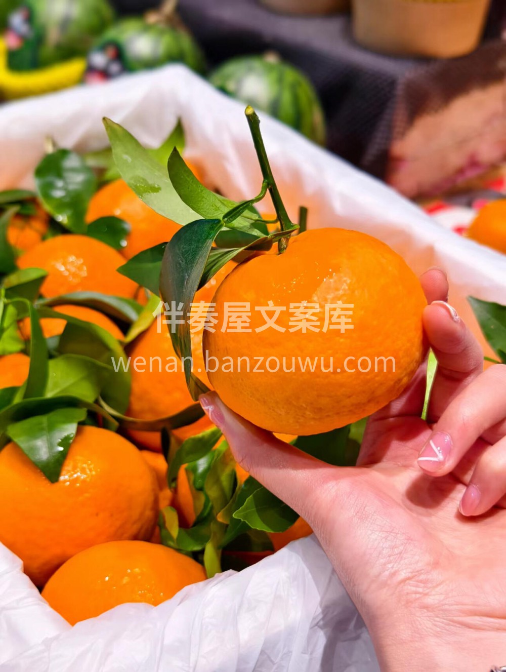 🍊🍊🍊明日见‼️柑橘中的爱马仕💎皮薄，果 配图2