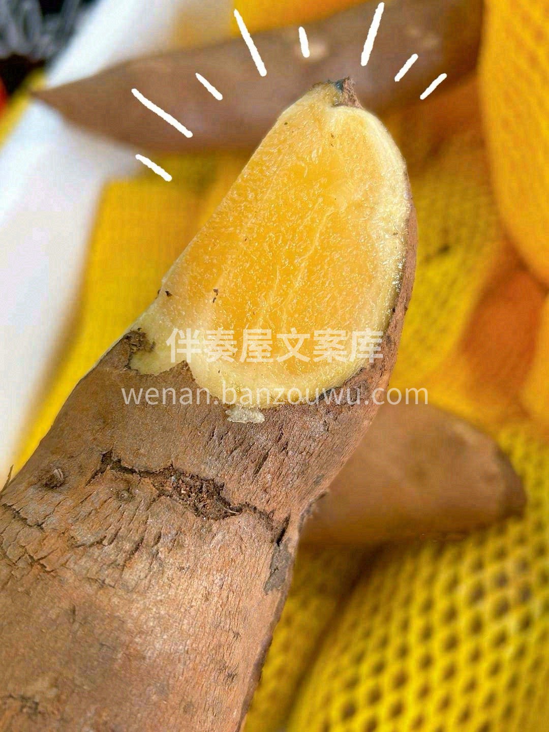 看着像地瓜🍠，洗干净削皮后就是一个水灵灵 配图2