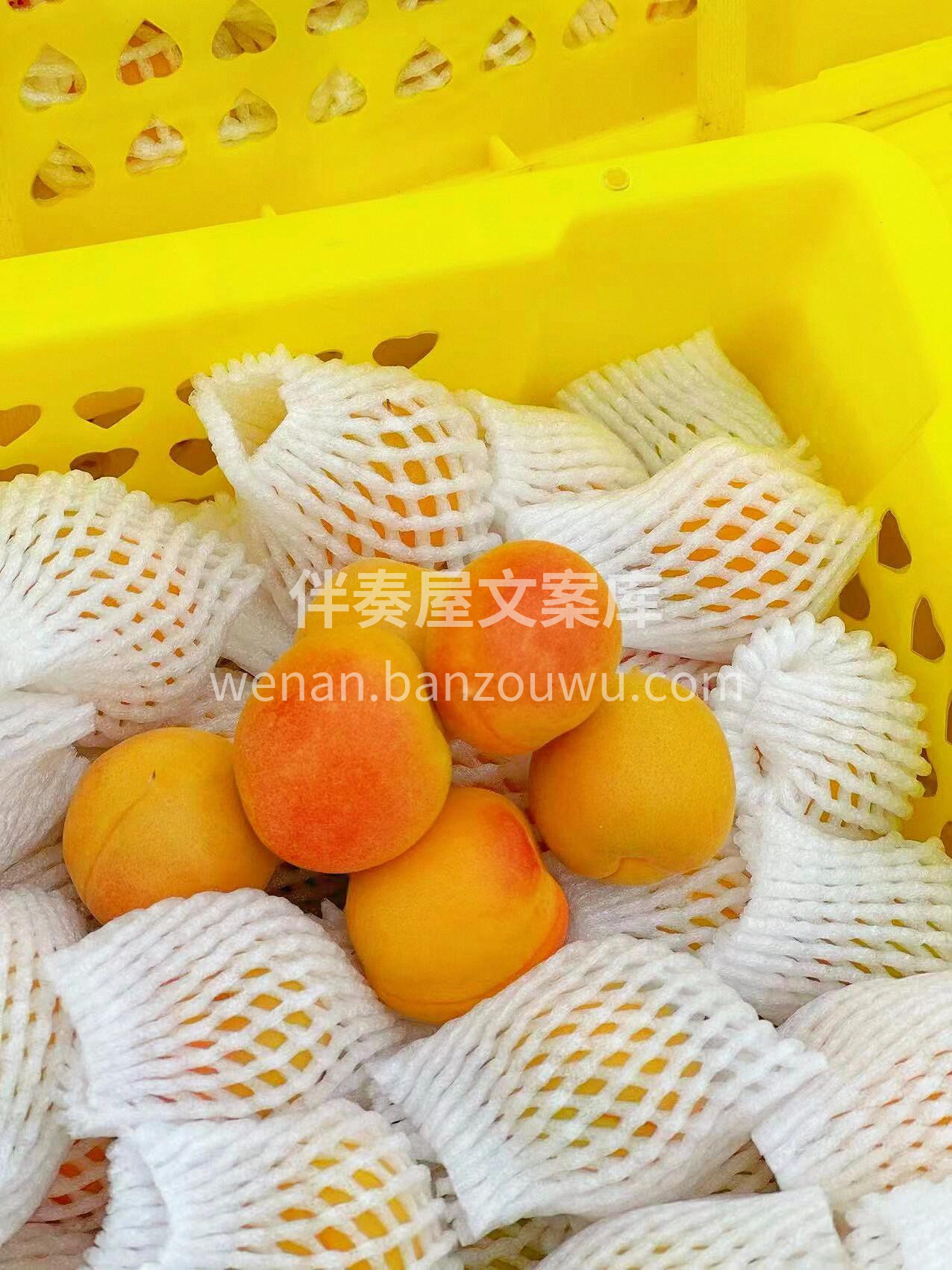 【阿克苏·新疆吊干杏】🍃 一口吊干杏从牙 配图3