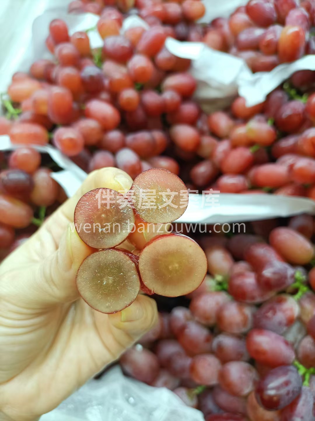 秋风送爽，来一串新鲜滴水无籽红提吧🍇 挂 配图2