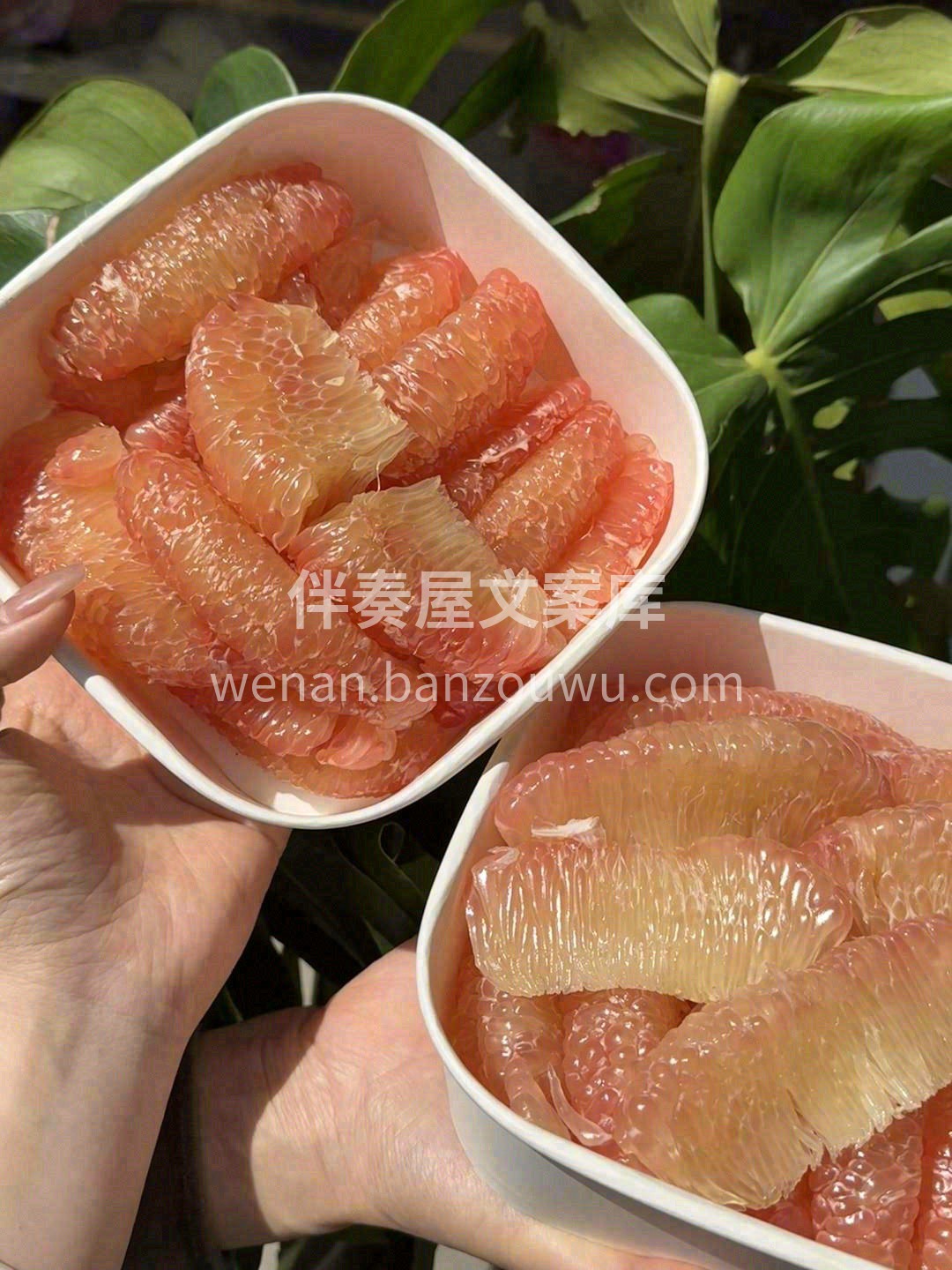 😍“柚”惑难挡！一天到晚剥都剥不完！ 泰 配图2