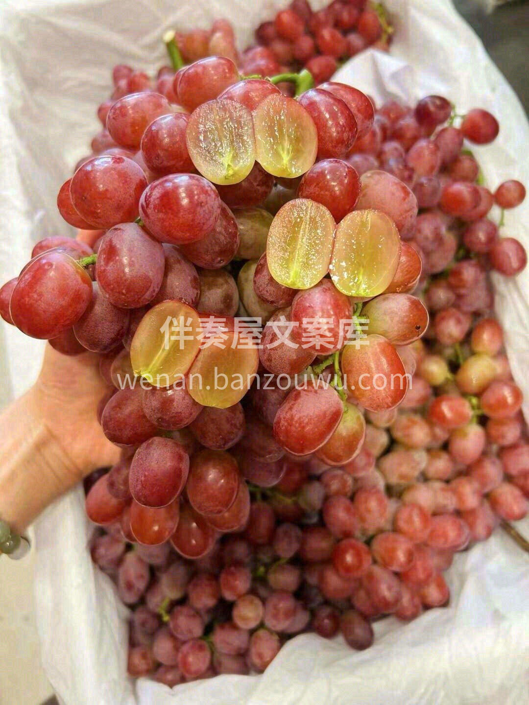 🍇入口酥脆，回味甜蜜 🍇不用吐籽，不用吐 配图2