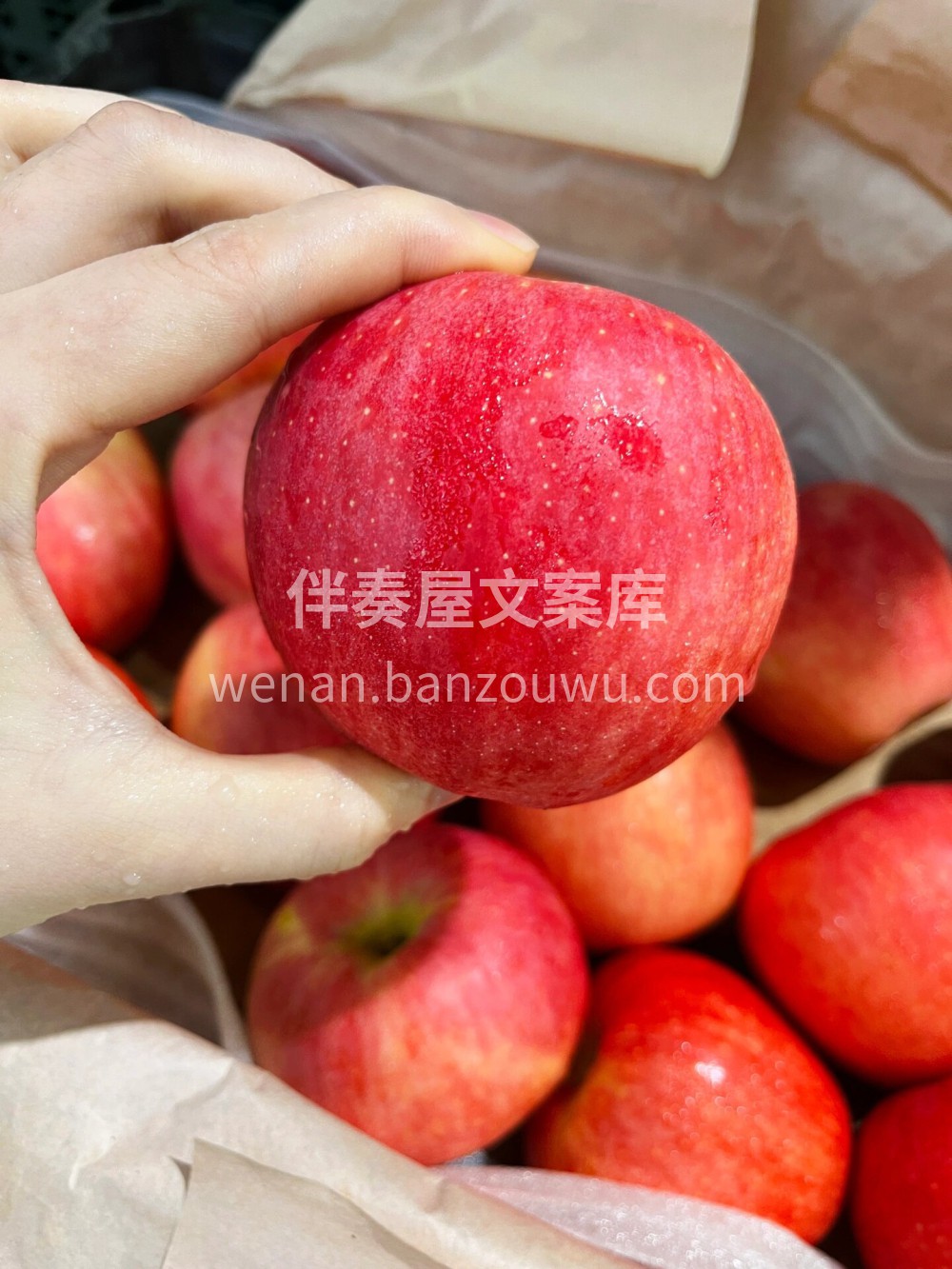 这苹果🍎真漂亮～🧚🏻‍♀️果形圆润，身披 配图2