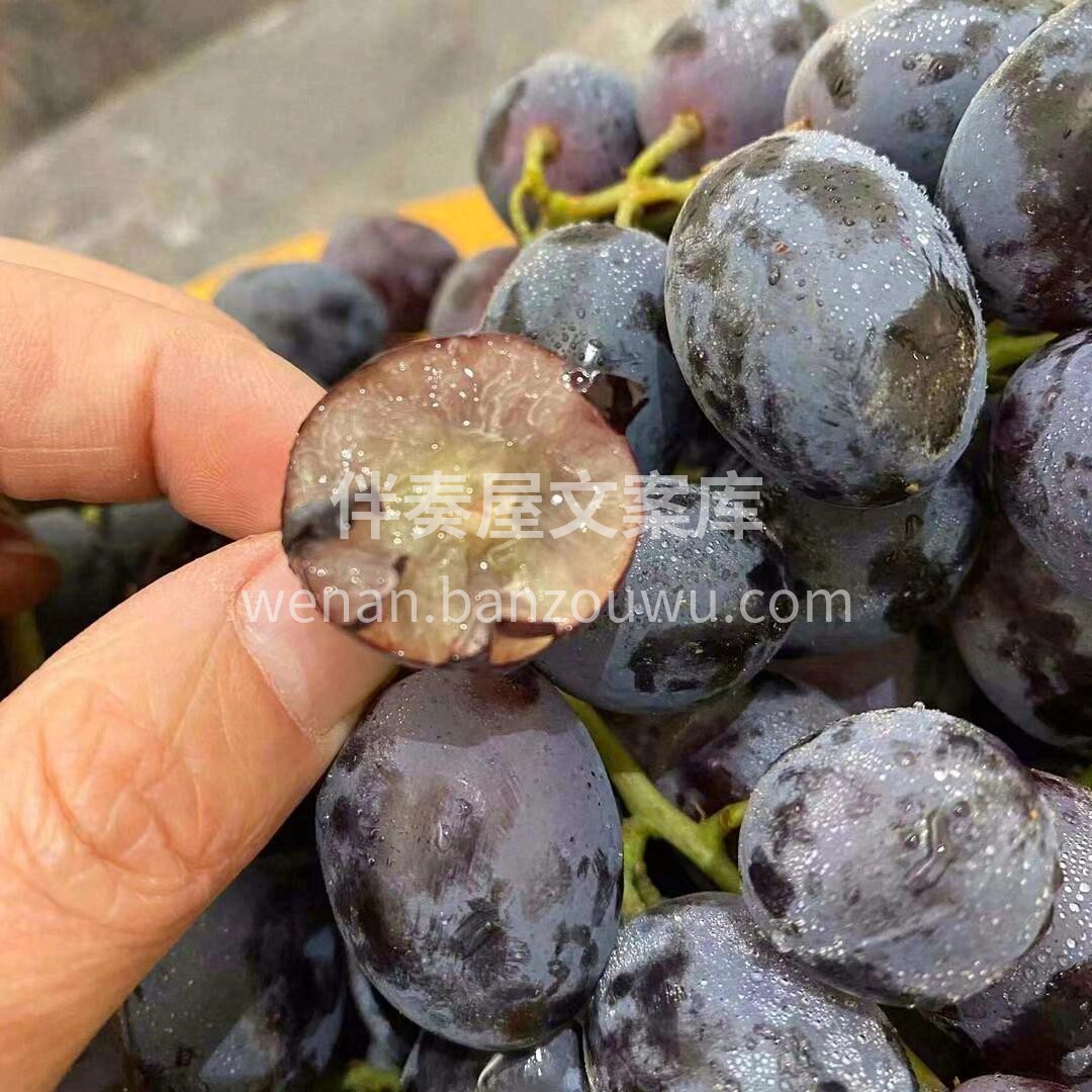 这个黑提🍇真的很好吃！快来买～ 脆甜口， 配图2