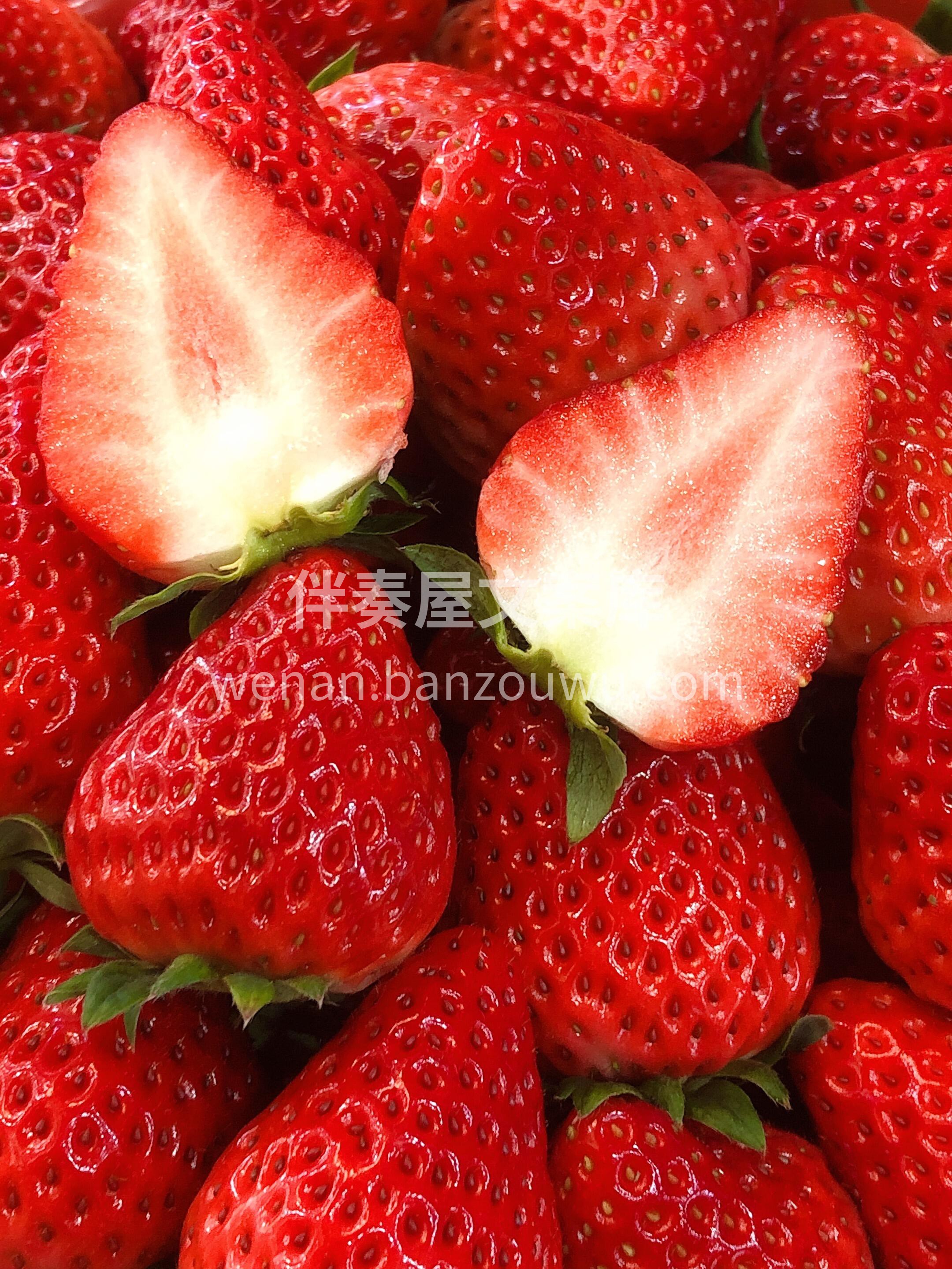 🍓红颜草莓，果肉软嫩、细腻无丝🎊。 唇齿 配图1