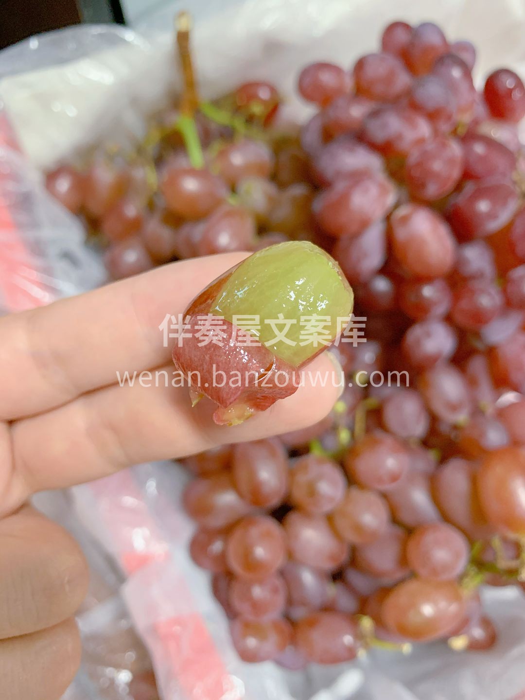🍇🍇水果版の爆爆珠！克伦生无籽红提🍇🍇  配图2