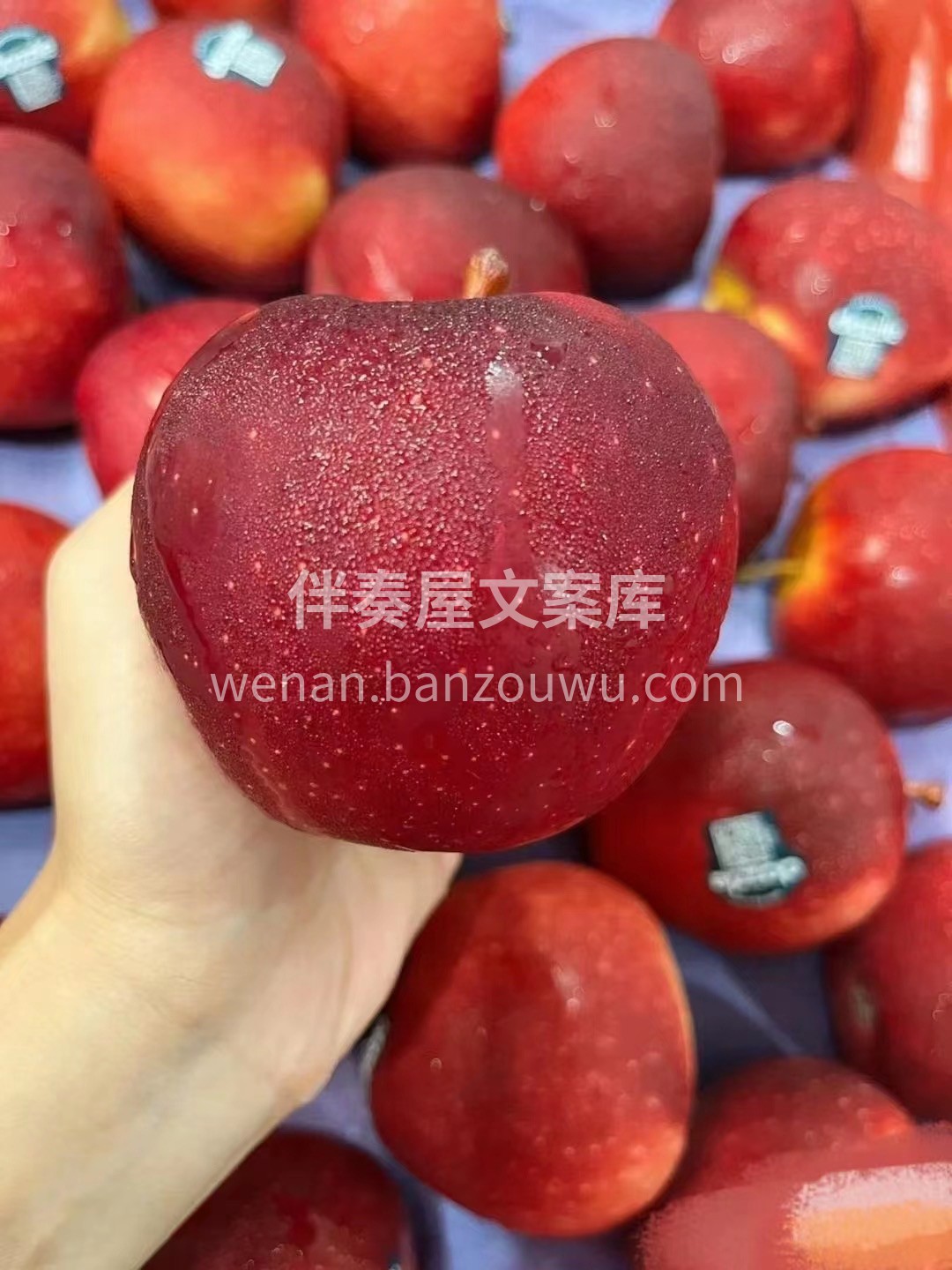 🇳🇿新西兰丹烁苹果🍎🍎🍎 皮特别薄，水分 配图2