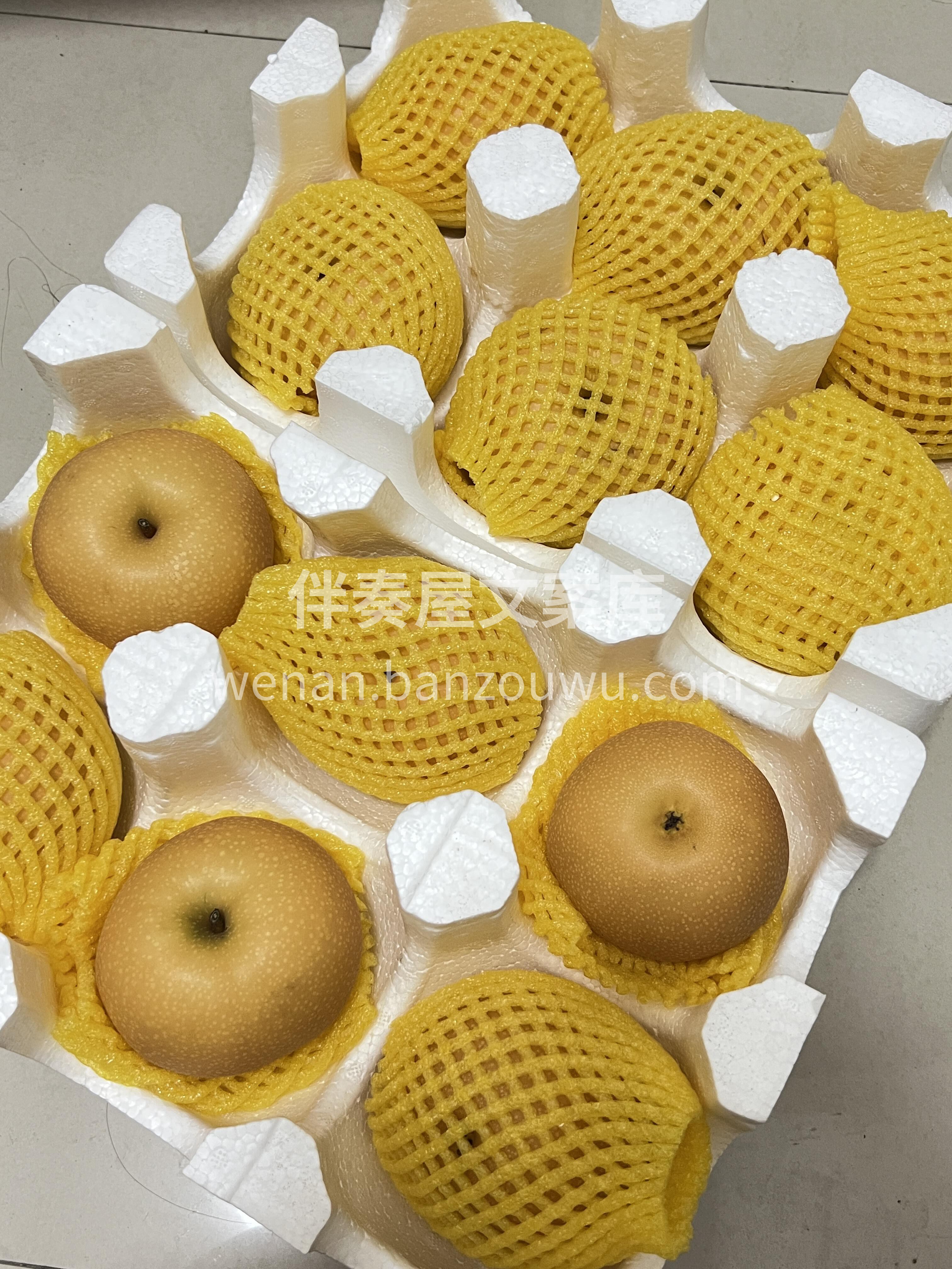 🍐【秋月梨】💦💦 哇～🌲秋天最怀念的水果 配图3