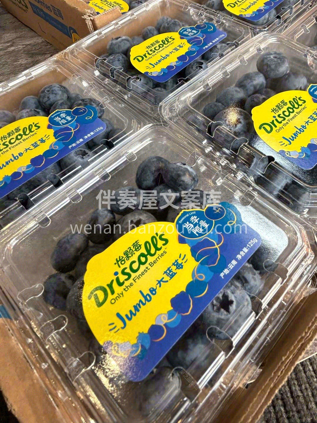 “天花板”级别的蓝莓🫐 大颗的肉感💧 颗 配图3