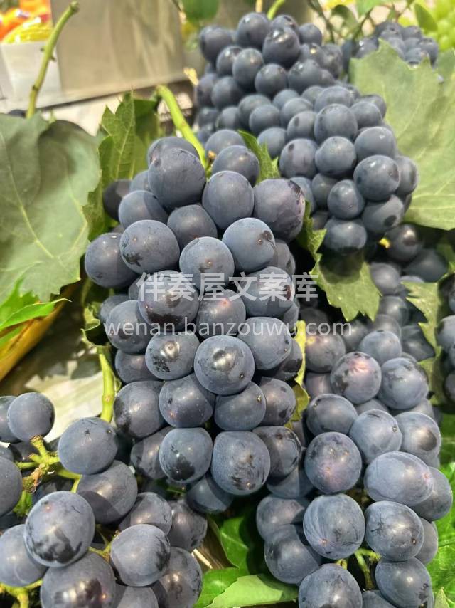 🔥卖爆了的的蓝莓葡萄到货🍇 满满的自然果 配图2