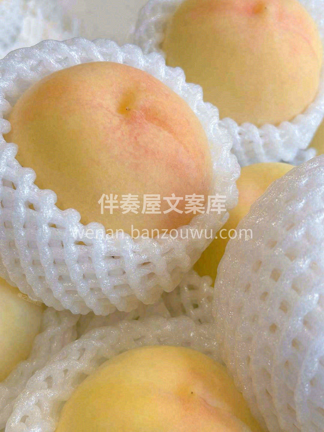 阳山水蜜桃🍑 鲜美多汁，桃你欢心💗 “水 配图2