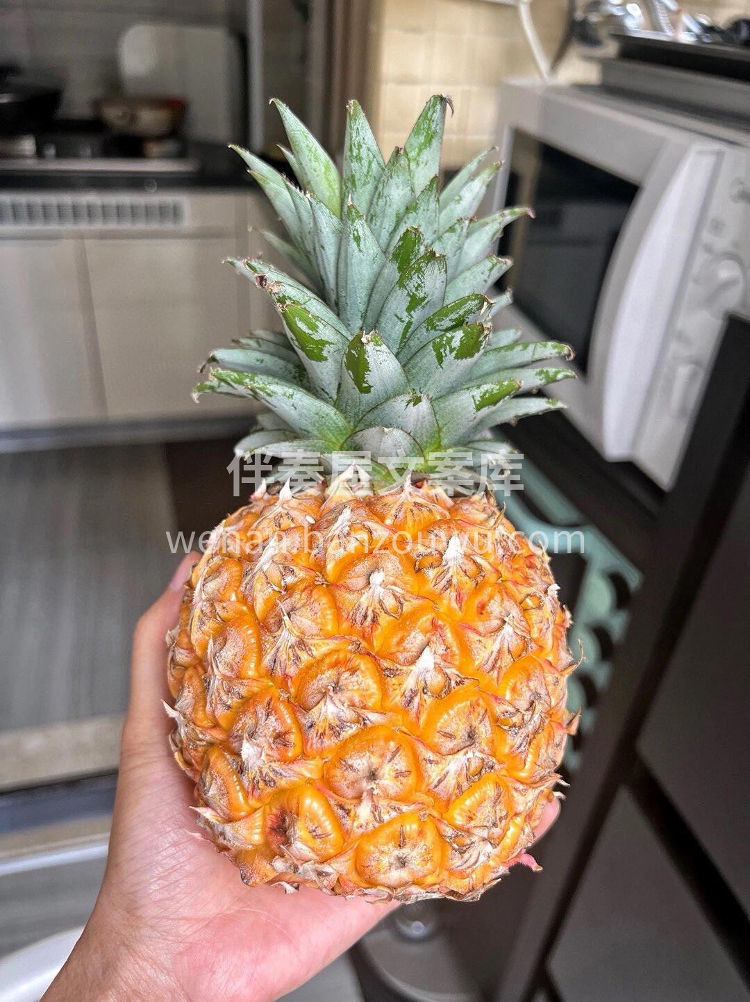 🍍肉质细腻，水分充足，一口下去果汁四溢💢 配图3