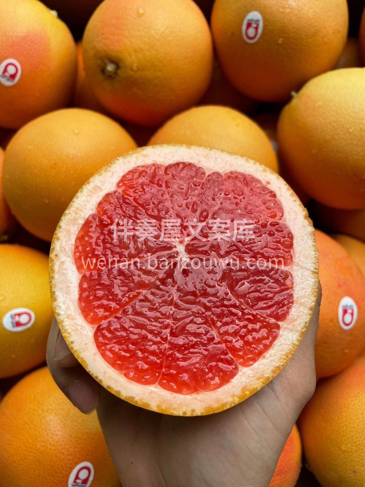 🔆青春不曾留得住，肥肉几时才离身 ✅西柚 配图3