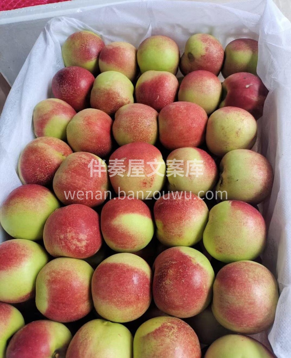 🍃珍珠枣油桃🍑 人见人爱的小桃子💚 离核 配图3