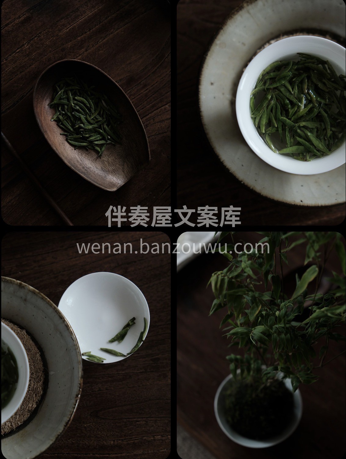 峨眉明前嫩芽，五重锁鲜，年味与春鲜都在这 配图2