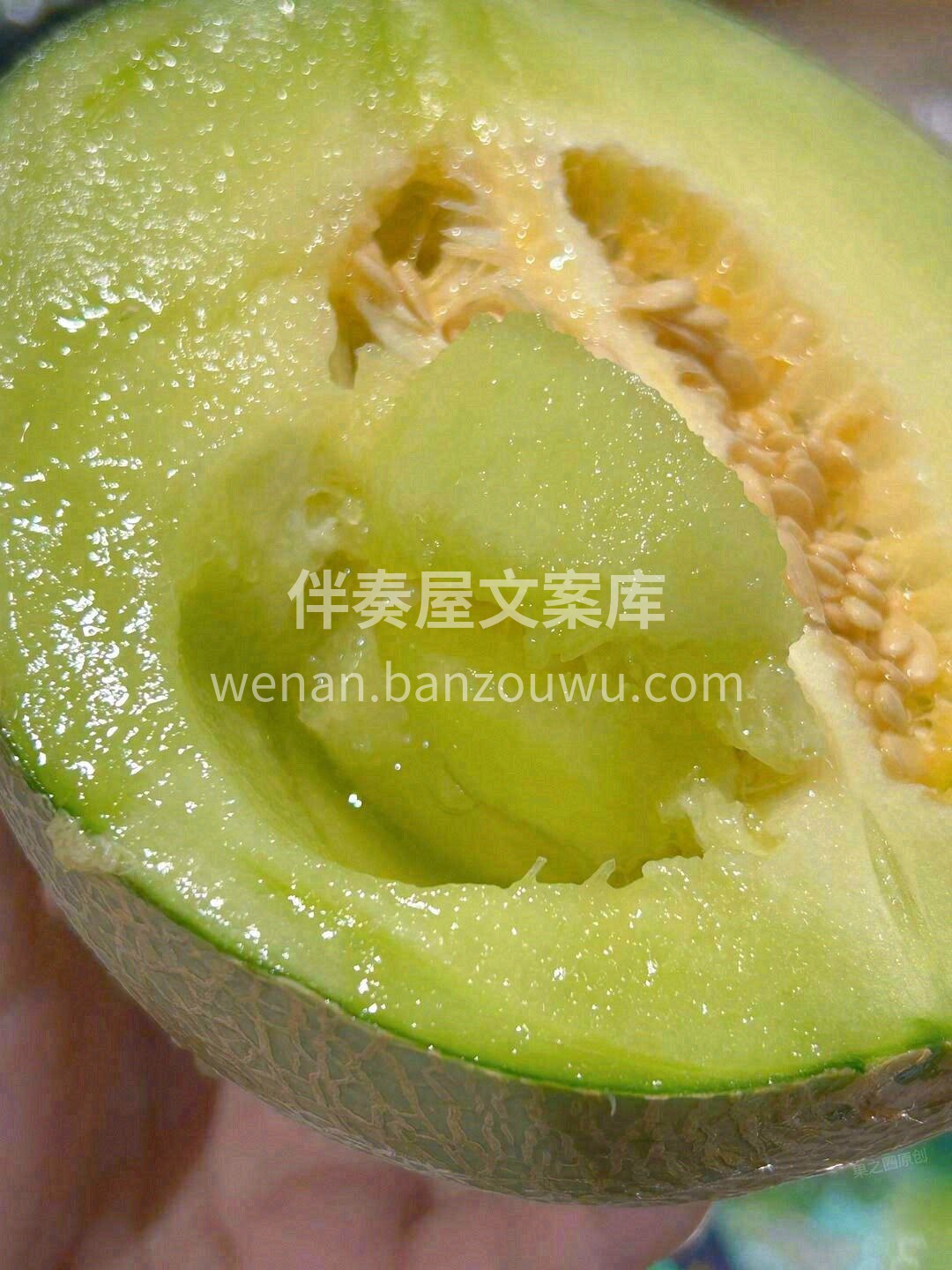 这是什么神仙甜瓜！？ 😍跟冰淇淋一样，入 配图2