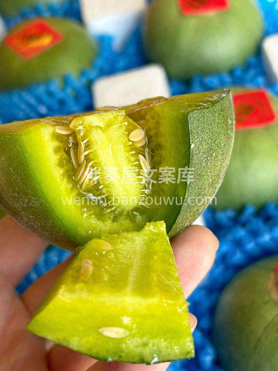 当一个幸福的“吃瓜群众”🥰🥰！ 网红绿宝 配图1