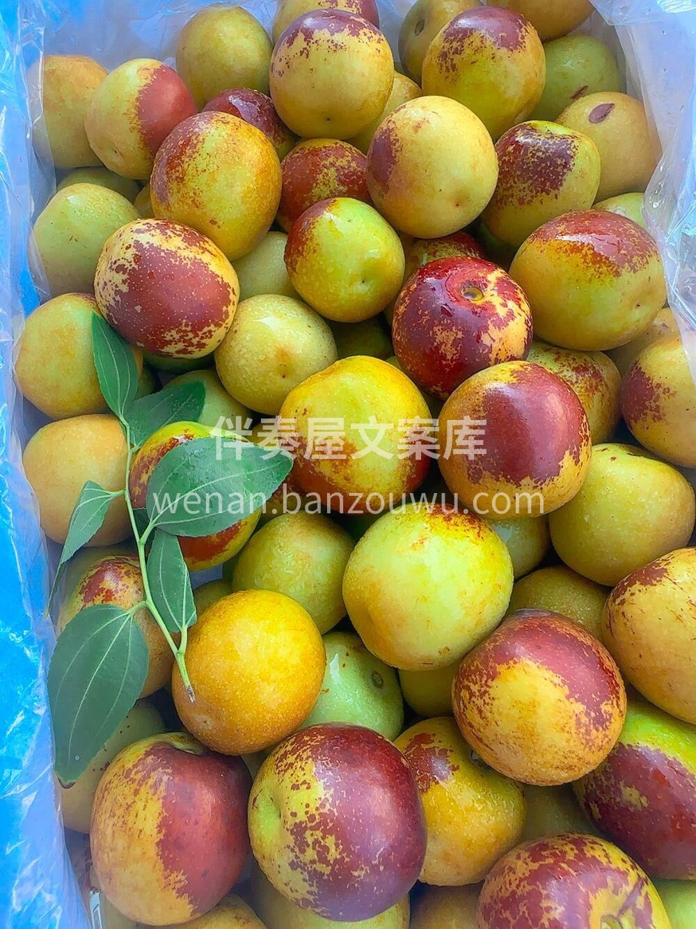 💕 延续甜蜜，秋天的第一口蜜甜😍 秋季人 配图2