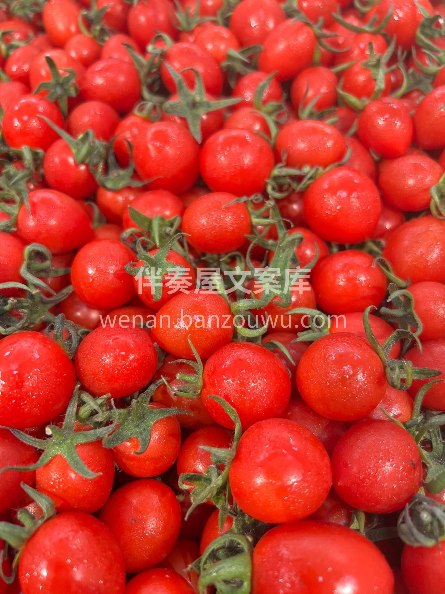 🍅 千禧小番茄！ 🌟 皮薄肉嫩，一咬爆浆 配图2