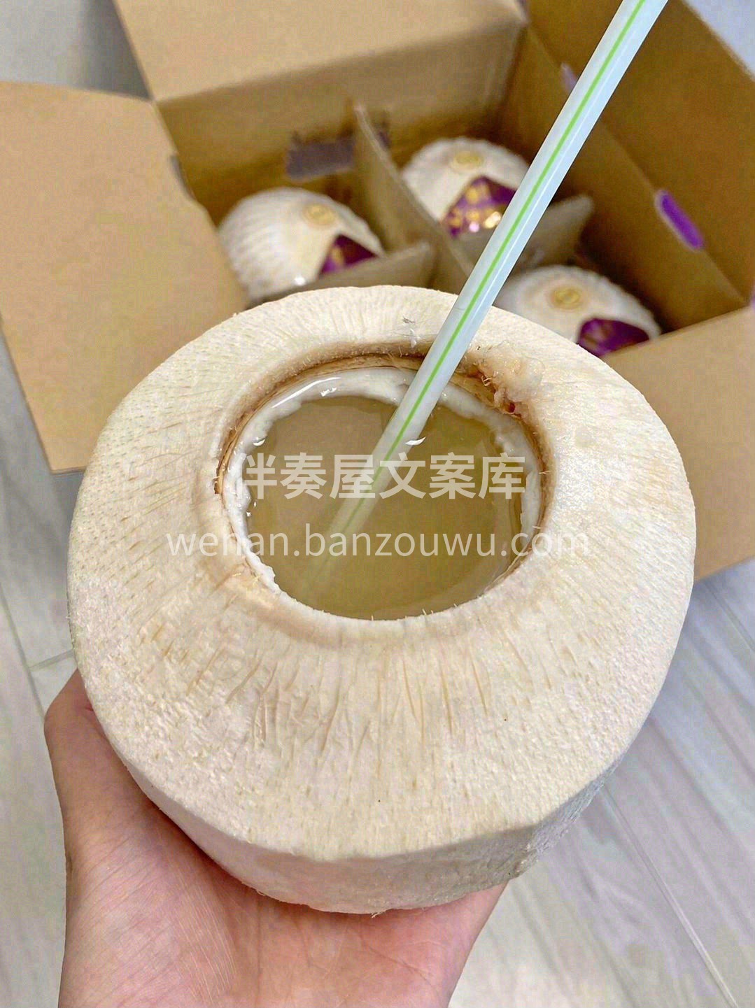强烈推荐🎉🎉在这个季节最安全的饮料💗 「 配图2