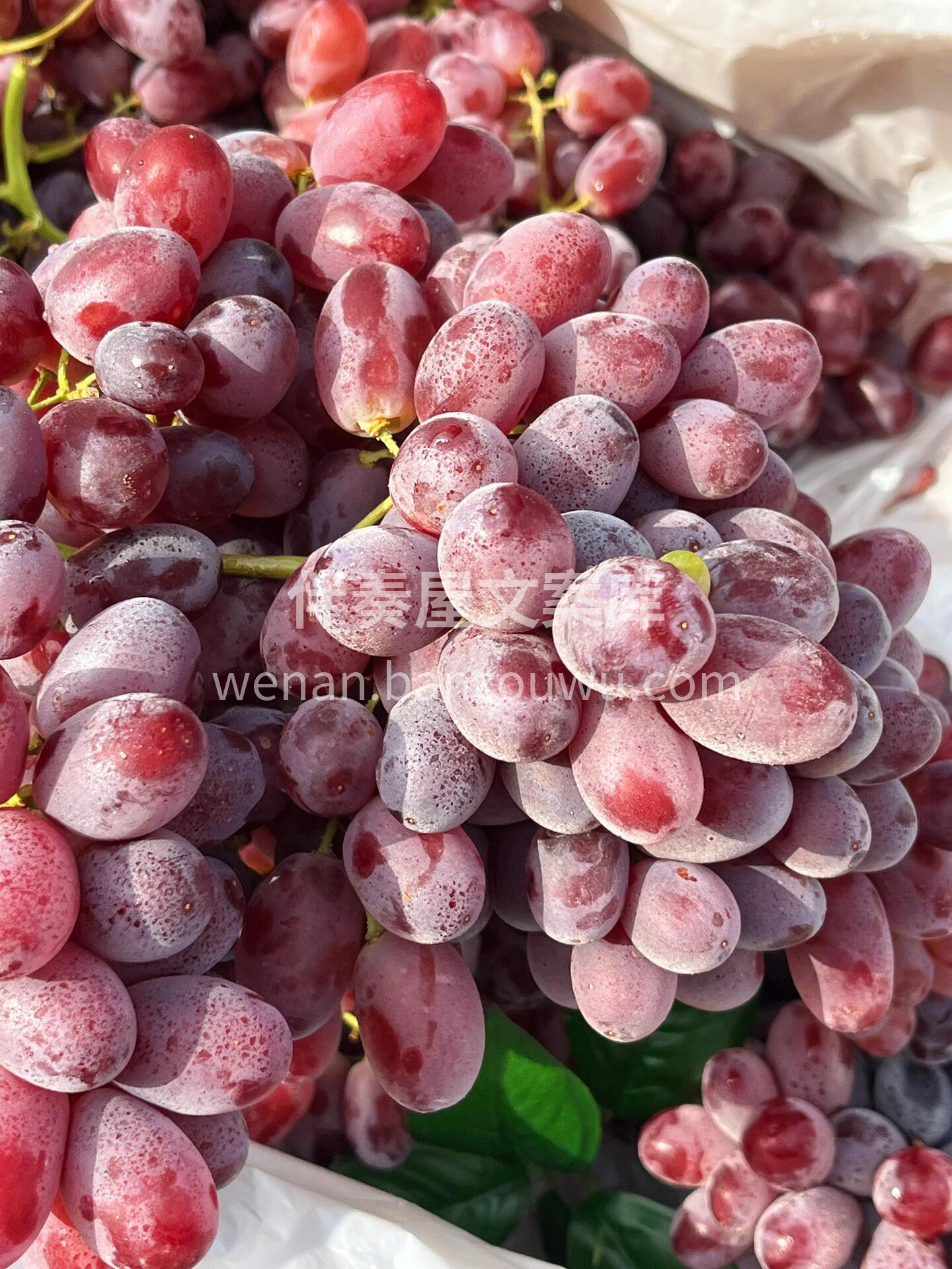 ☘无籽红提🍇上新～ 清甜无籽，果肉脆嫩到 配图1