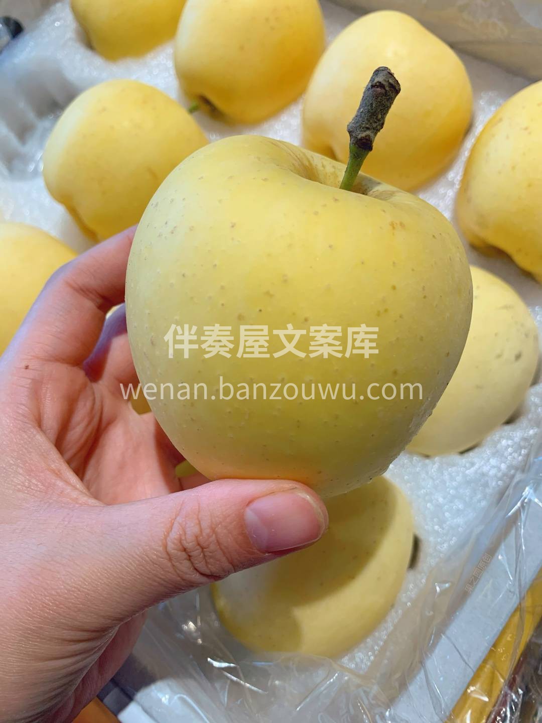 💛金黄色的独特外观、与众不同的脆甜口感😘 配图2