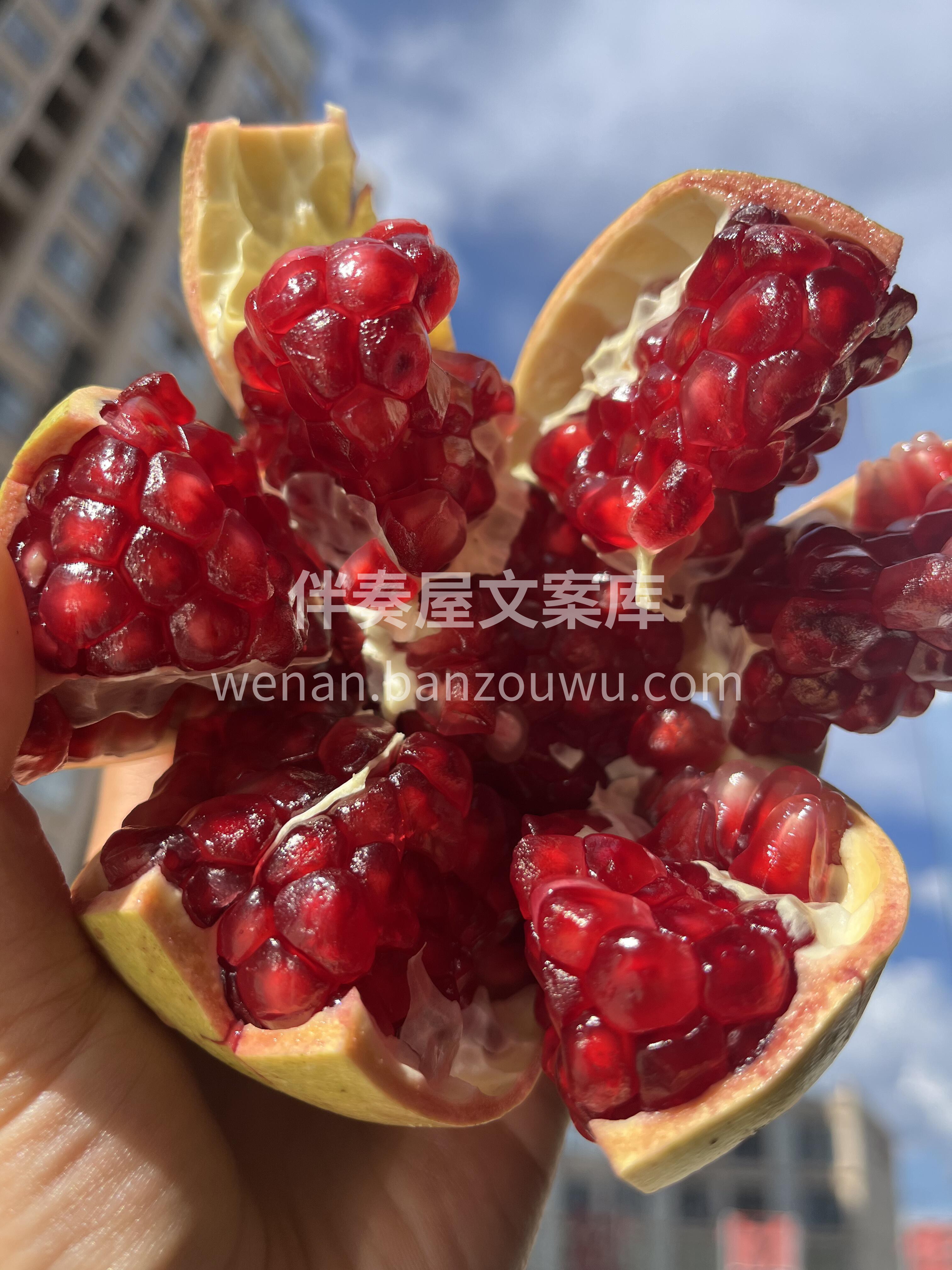 藏在秋天🍂里的甜蜜💕 突尼斯软籽石榴❤️ 配图1