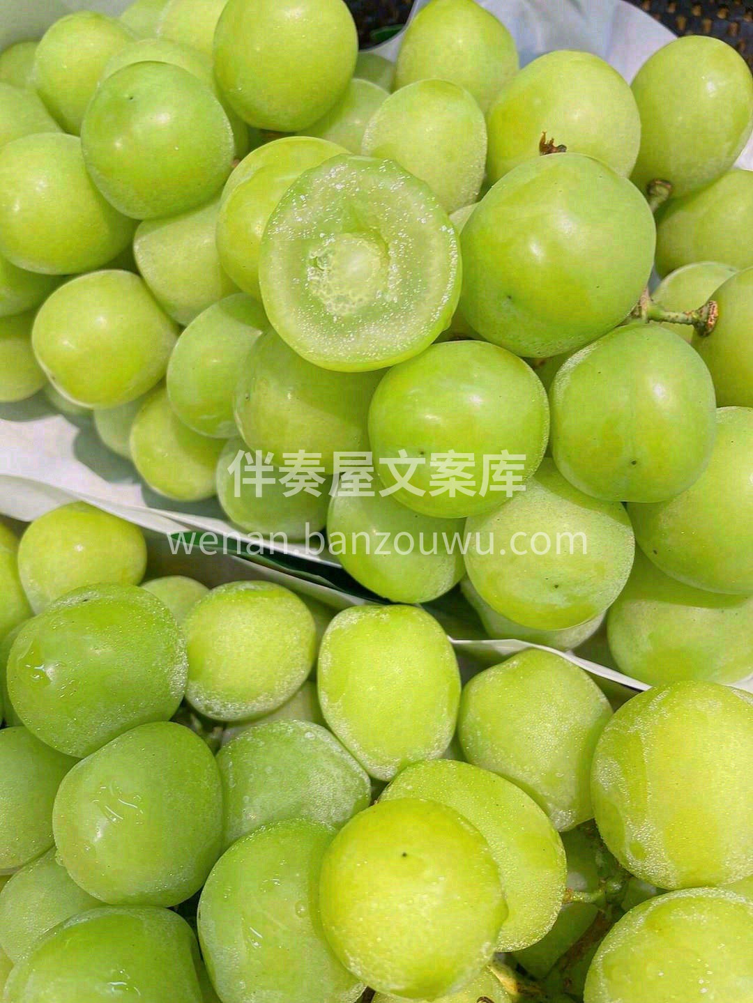 🍇紧凑致密，每一颗都是圆鼓鼓的小胖子，看 配图3