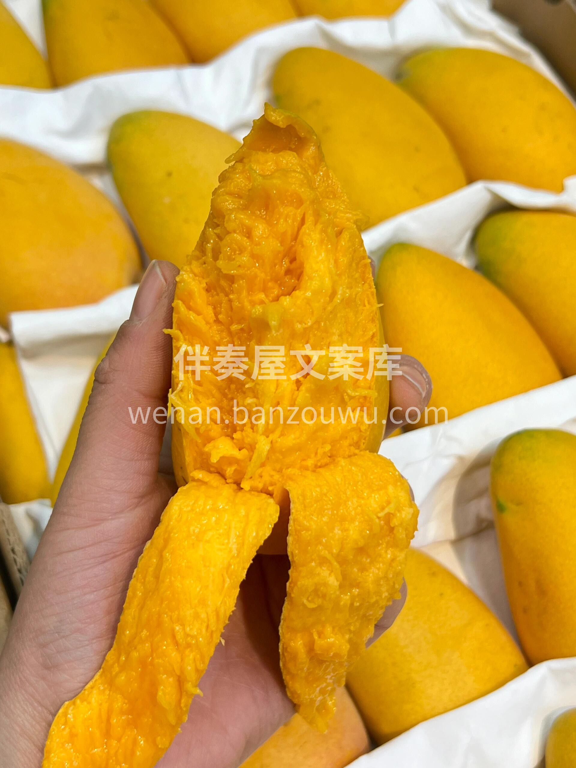 今日分享～小台芒🥭，口感爆棚❗❗ 舌尖上 配图1