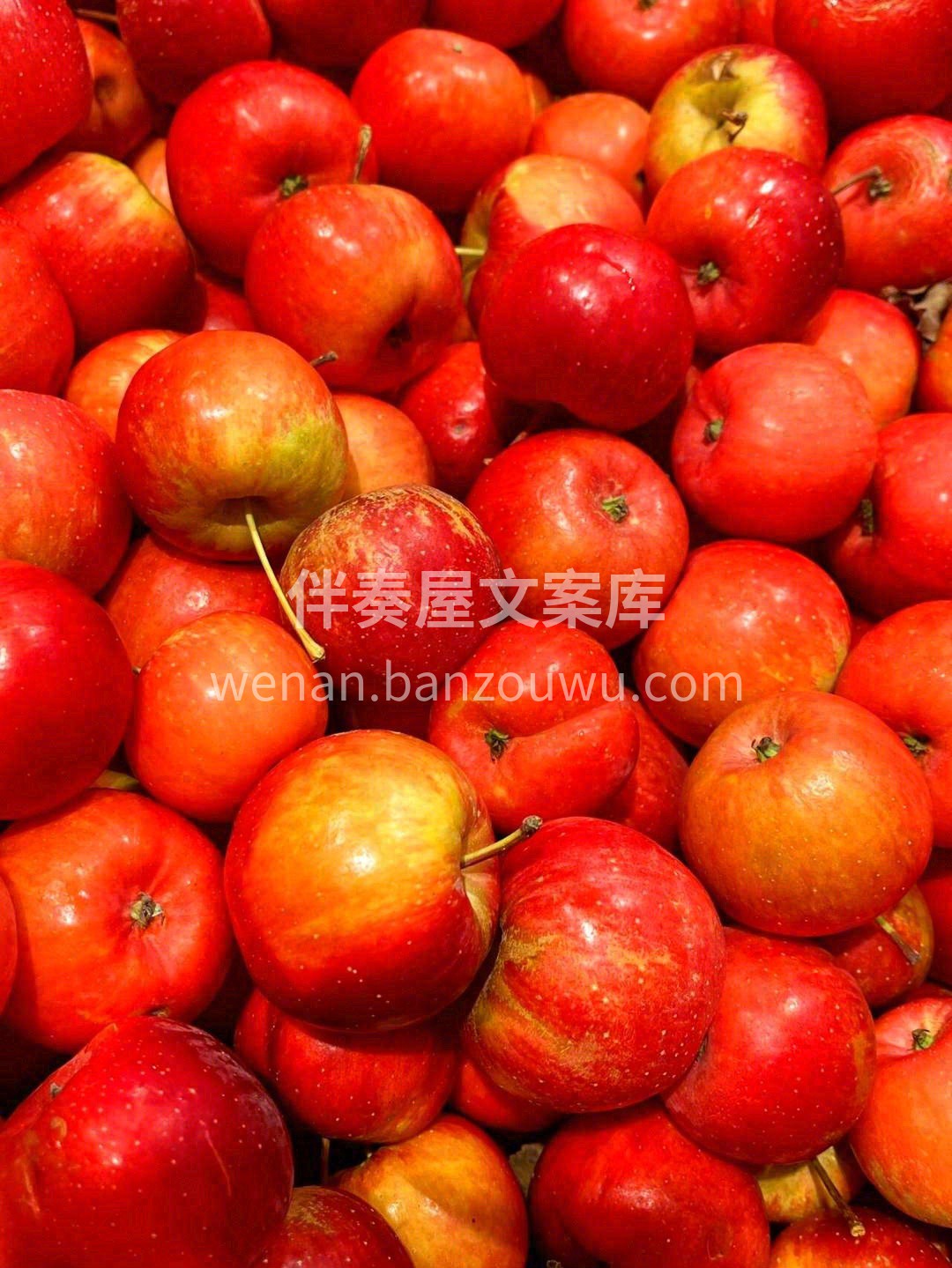 😂吃苹果吗？一把一把吃的那种 恰如其分的 配图3