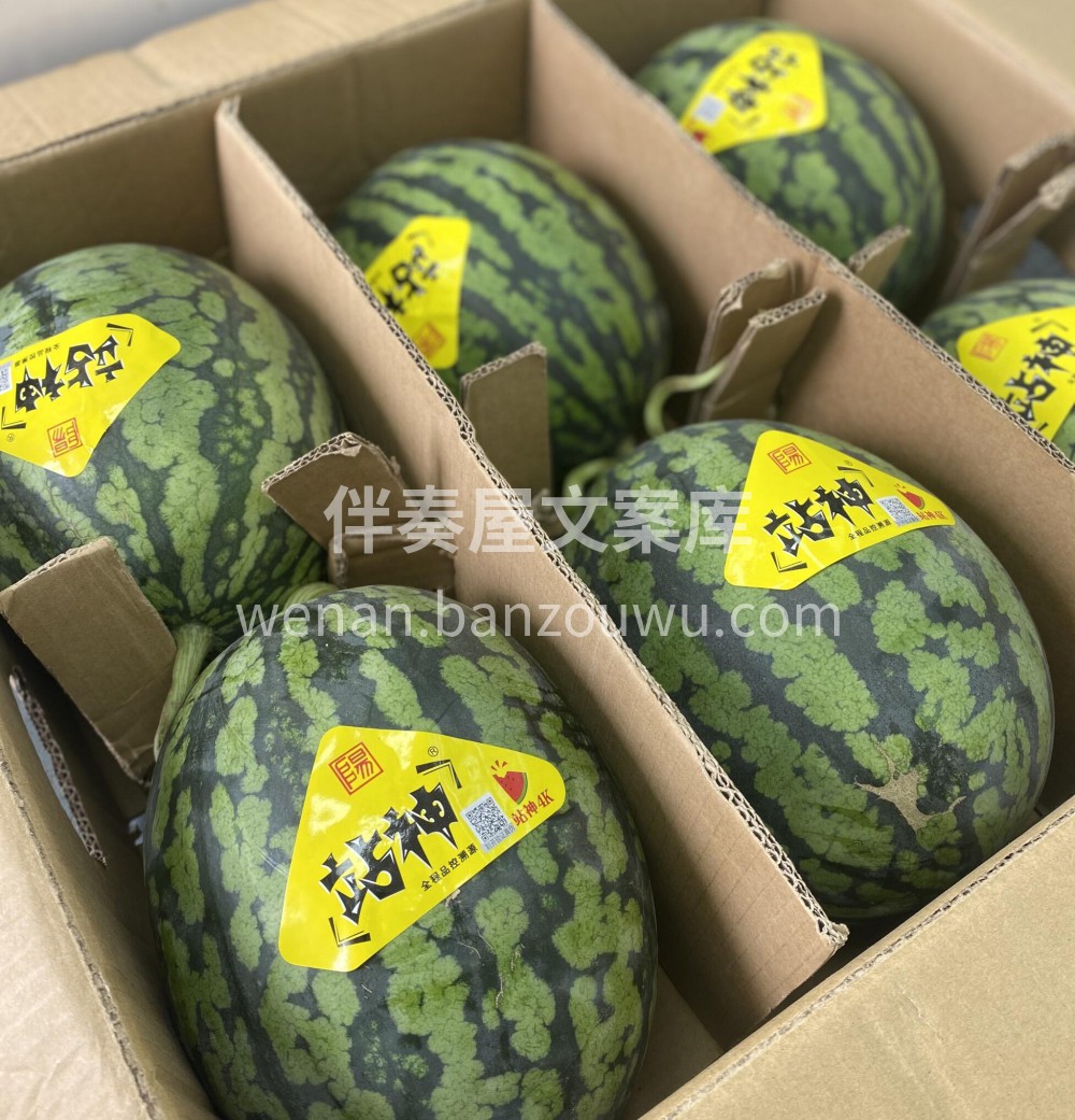 西瓜中的天花板——站神西瓜🍉一口惊艳啊朋 配图3