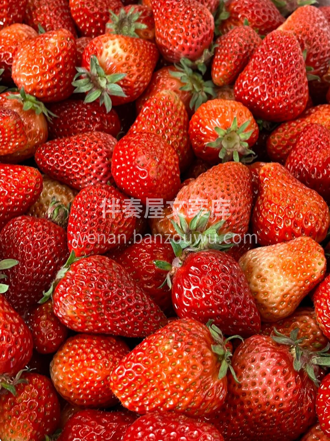 🍓✨〰︎ ɴɪᴄᴇ ᴅᴀʏ ࿎ 今天是草 配图3