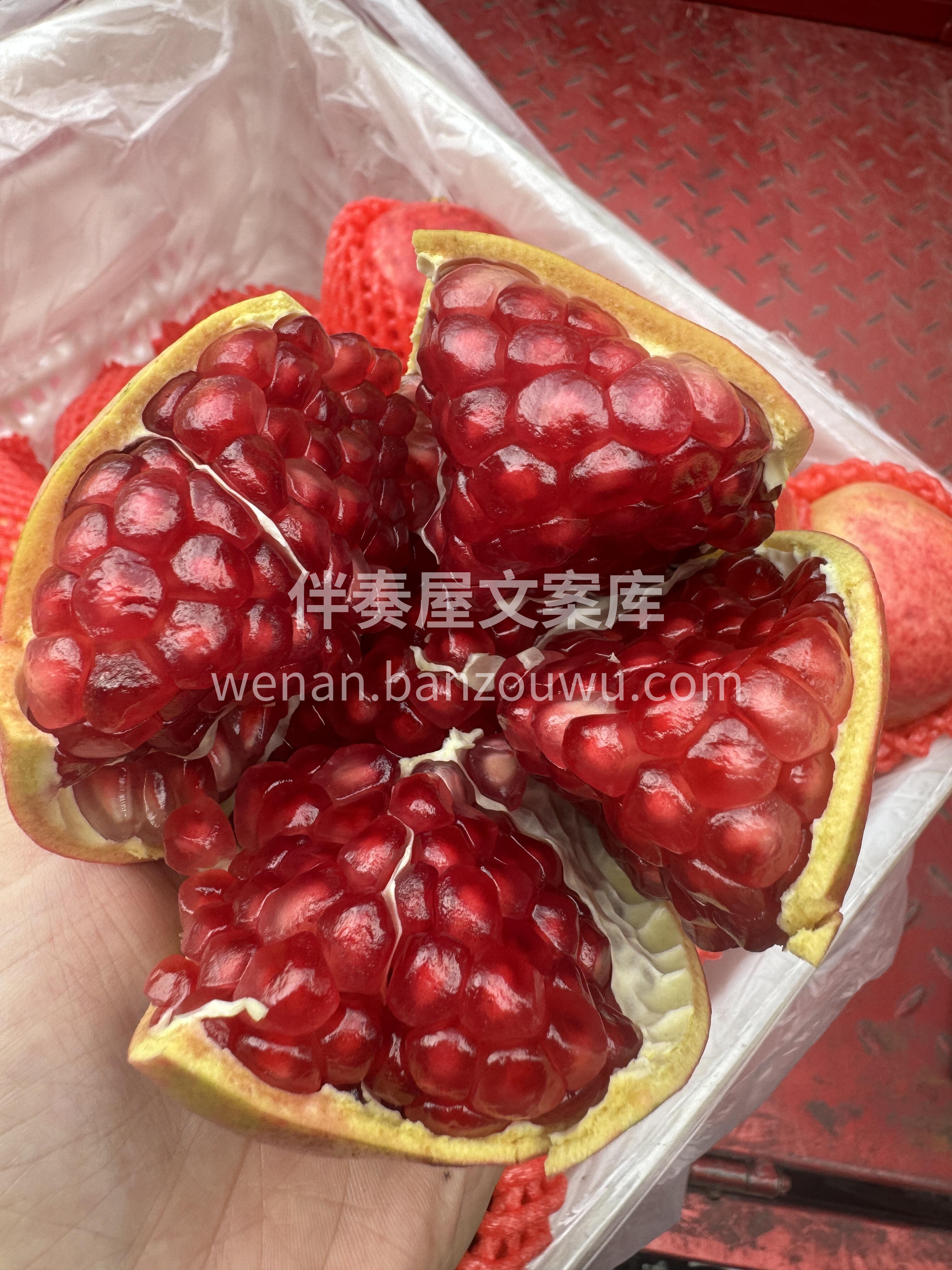 “突尼斯”一口爆汁，放肆嚼不吐籽‼️ 🤤 配图1