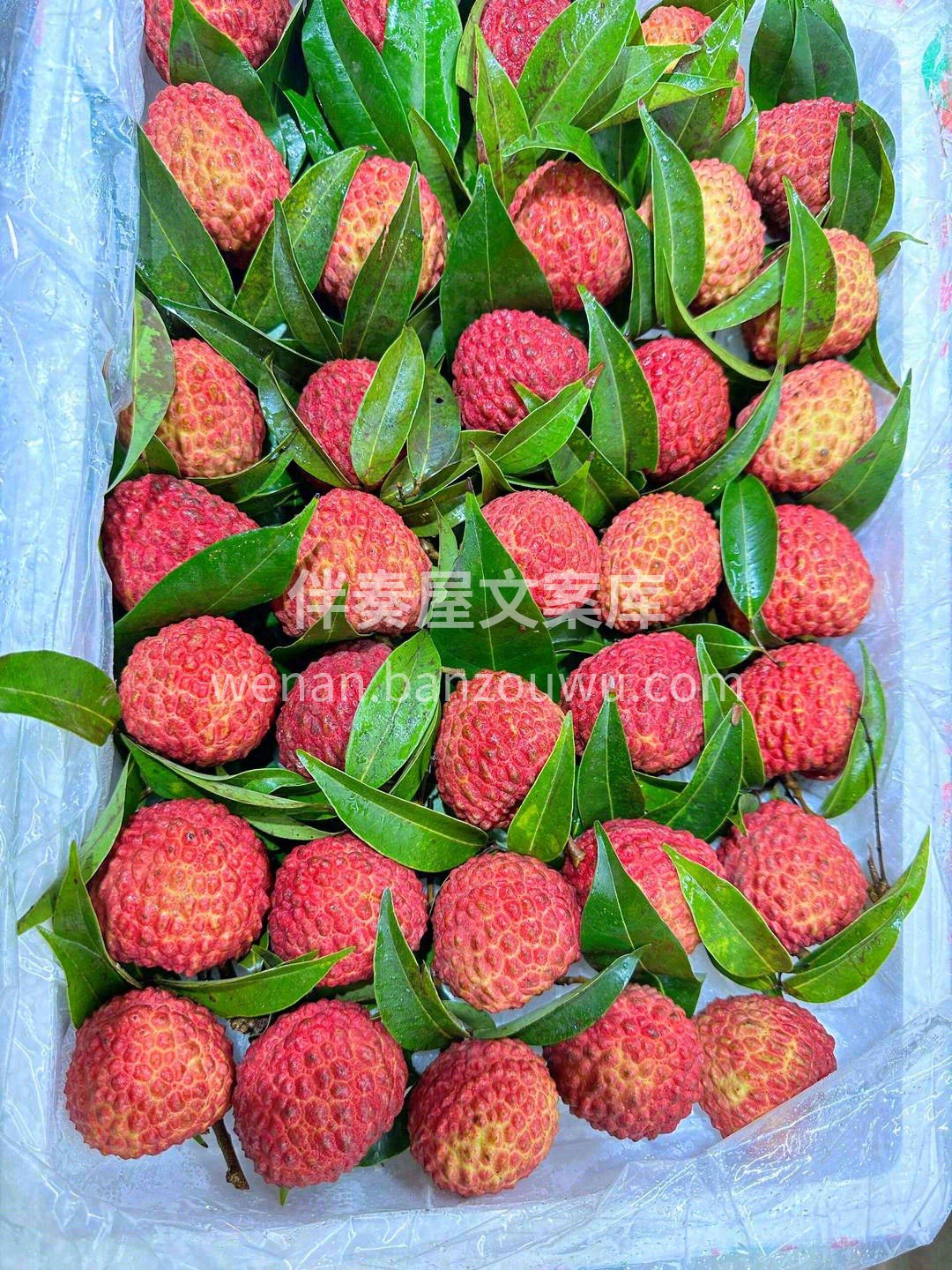 🍃荔枝中的爱马仕——荔枝王 大如鸡蛋🐣， 配图3