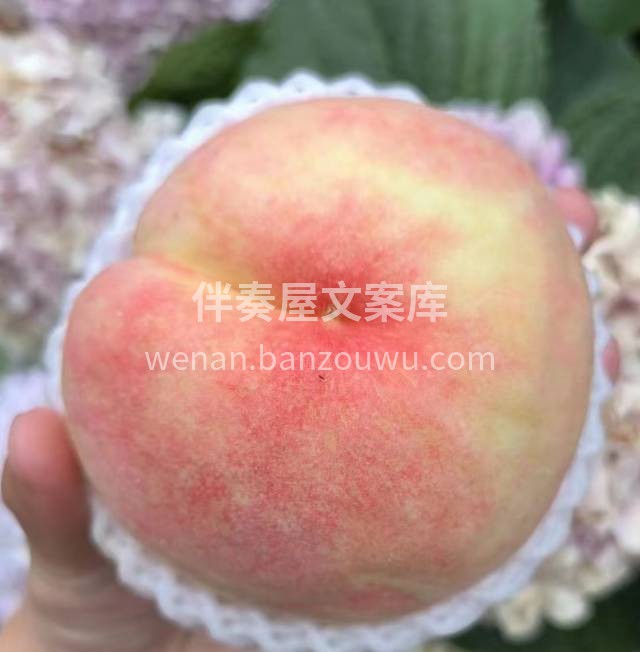精选的水蜜桃🍑口味上绝对有保证👍 口感上 配图2