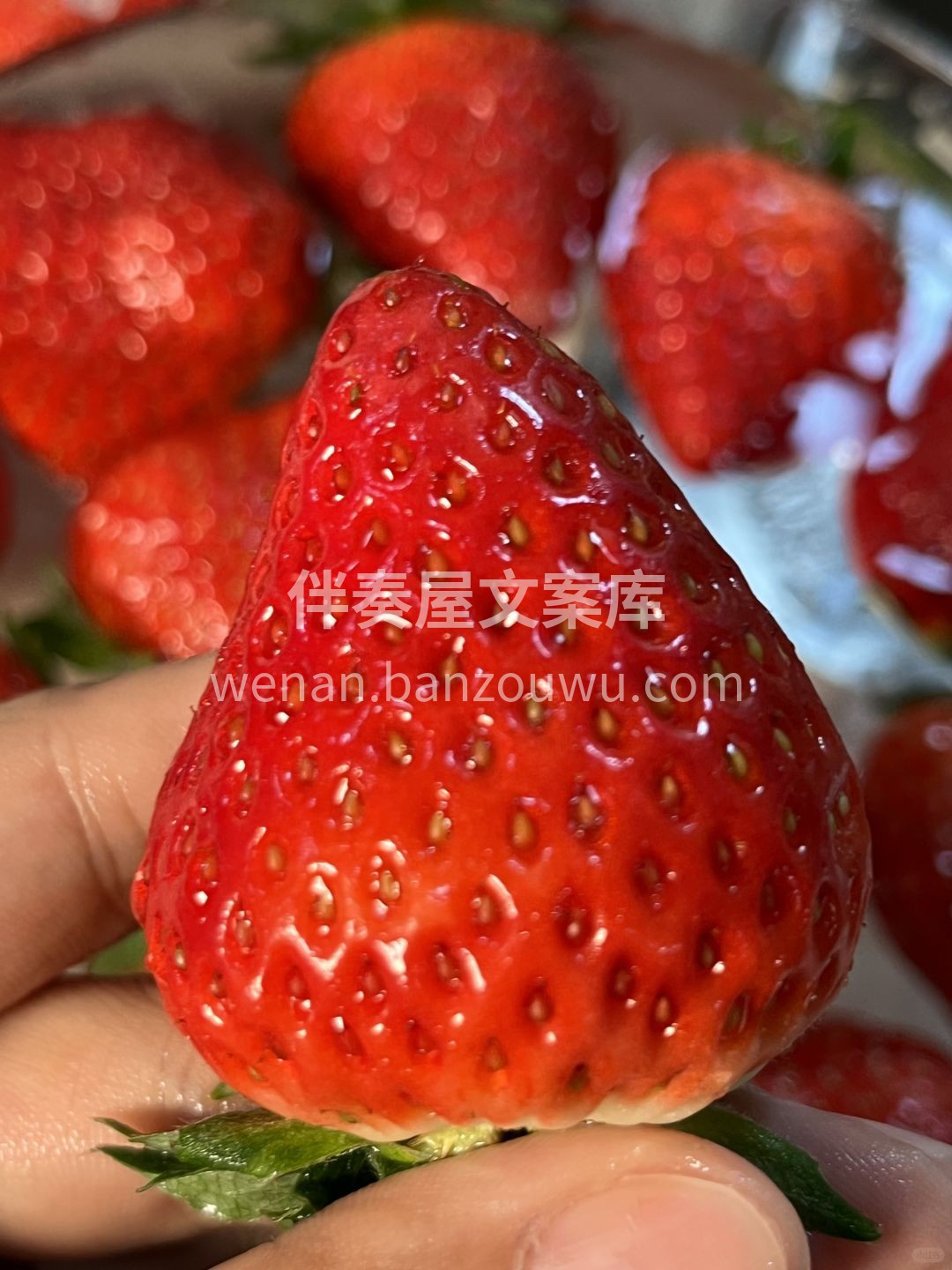 🍀【果香治愈一整天‼️】 生活需要一点清 配图3