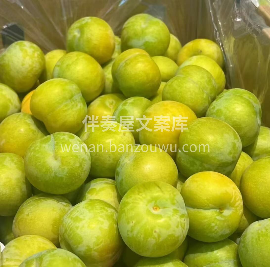 【贵州六马蜂糖李】 💋 💋 颠覆认知的蜂 配图3