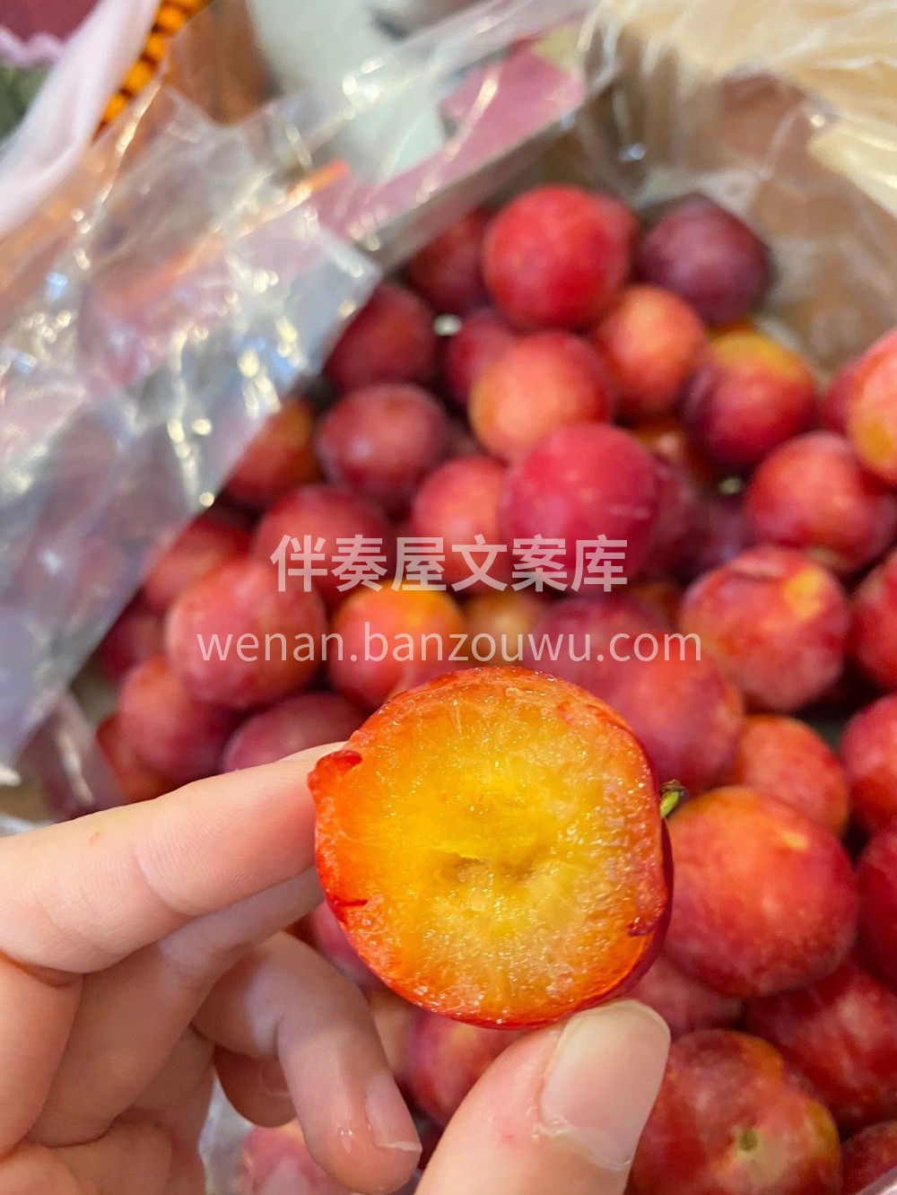 樱桃李🍒看起来像李子，吃起来却像樱桃一样 配图2