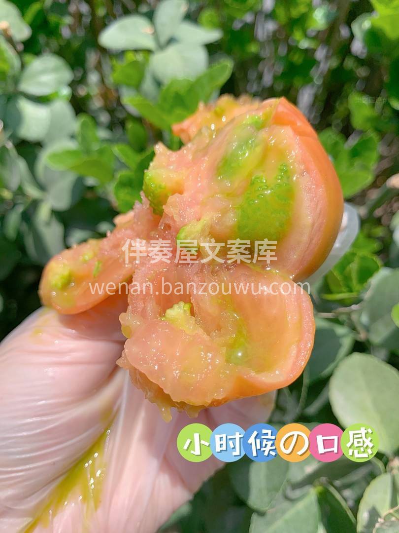 🍅草莓柿子🍅中的胡萝卜素含量很高👍👍 是 配图1