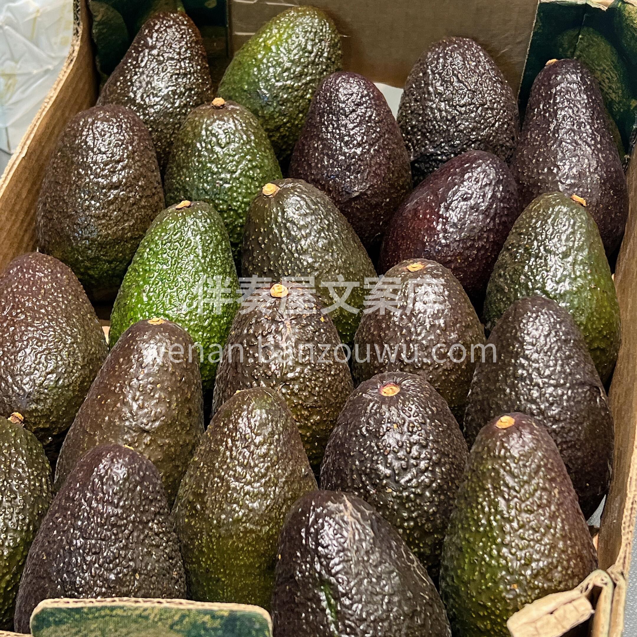 【进口牛油果🥑】 果肉细腻绵密☁️乳酪一 配图3